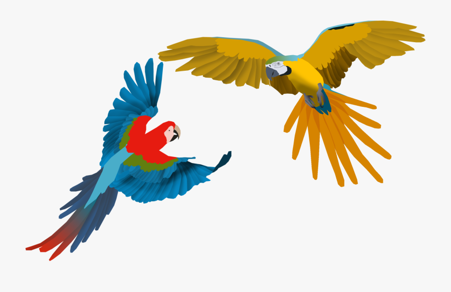Clip Art Collection Of Free Realistic - Flying Macaw Png, Transparent Clipart