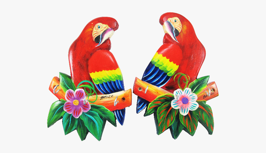 Key Holder Scarlet Macaw S - Vẽ Vẹt Đỏ Đuôi Dài, Transparent Clipart