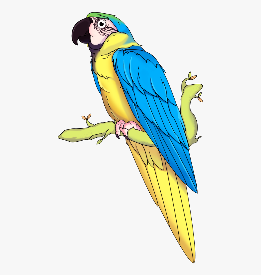Transparent Macaw Png - Budgie, Transparent Clipart