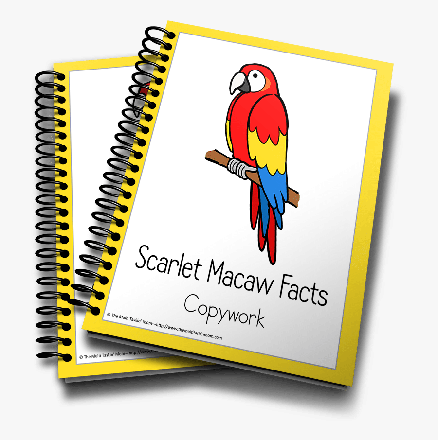 Two Notebooks, Transparent Clipart