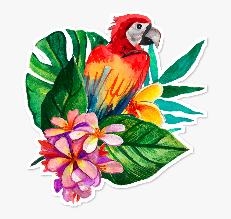 Transparent Guacamaya Png - Guacamaya Tropical Png, Transparent Clipart