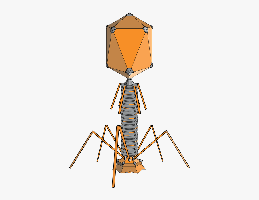 Bacteriophage - Bacteriophage Svg, Transparent Clipart