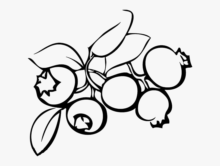 Transparent Blueberries Clipart Black And White - Blueberry Black And White, Transparent Clipart