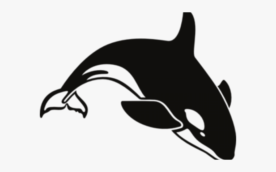 Transparent Orca Clipart, Transparent Clipart