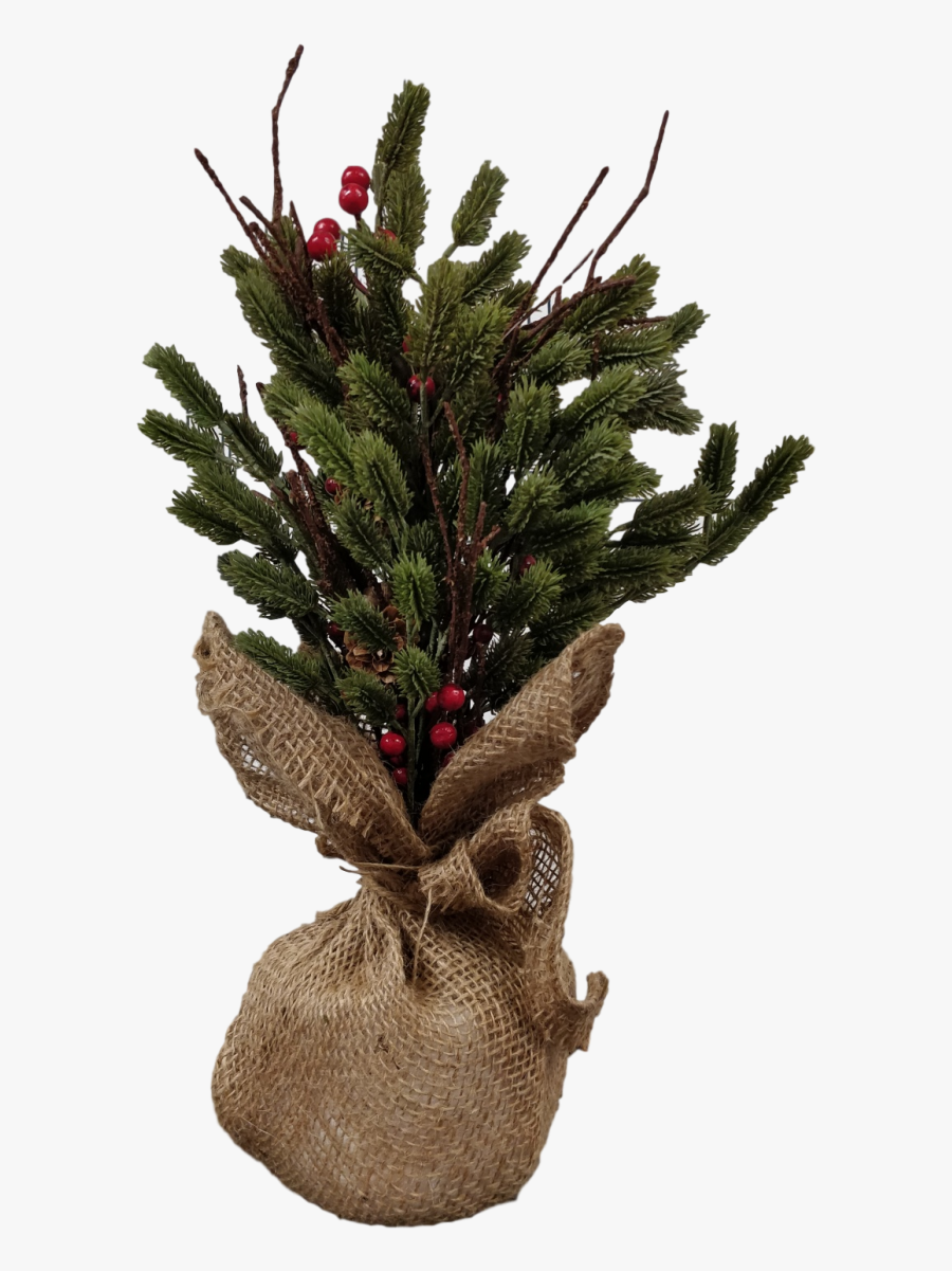 Houseplant, Transparent Clipart