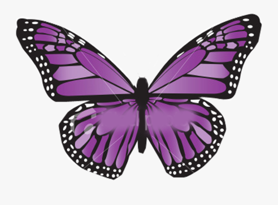 Transparent Mariposas Png - Blue Monarch Butterfly, Transparent Clipart