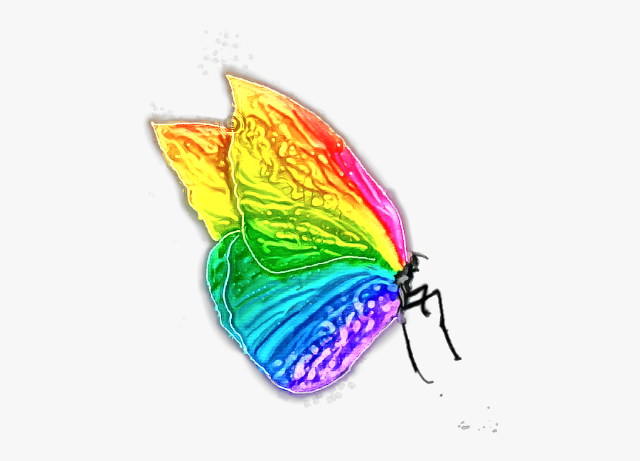 #mariposa #arcoiris #fullcolors #draw #magic #butterfly - Mariposa Y Arcoiris Png, Transparent Clipart