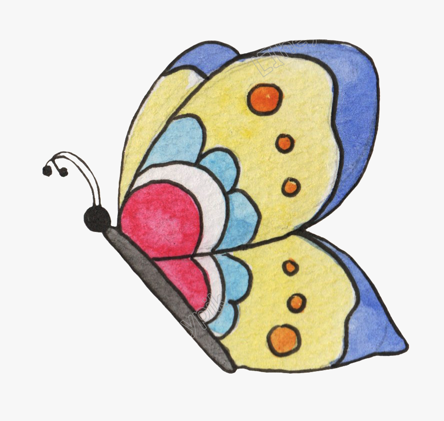 Transparente De Png Decorativo, Transparent Clipart