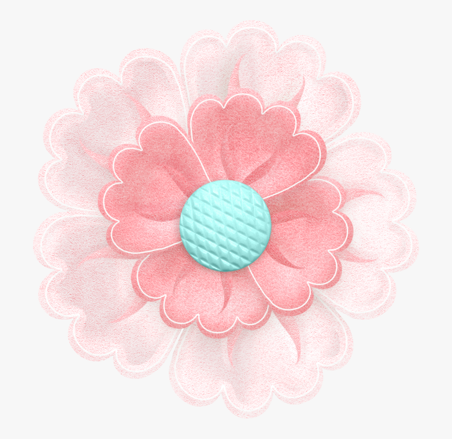 Barberton Daisy, Transparent Clipart