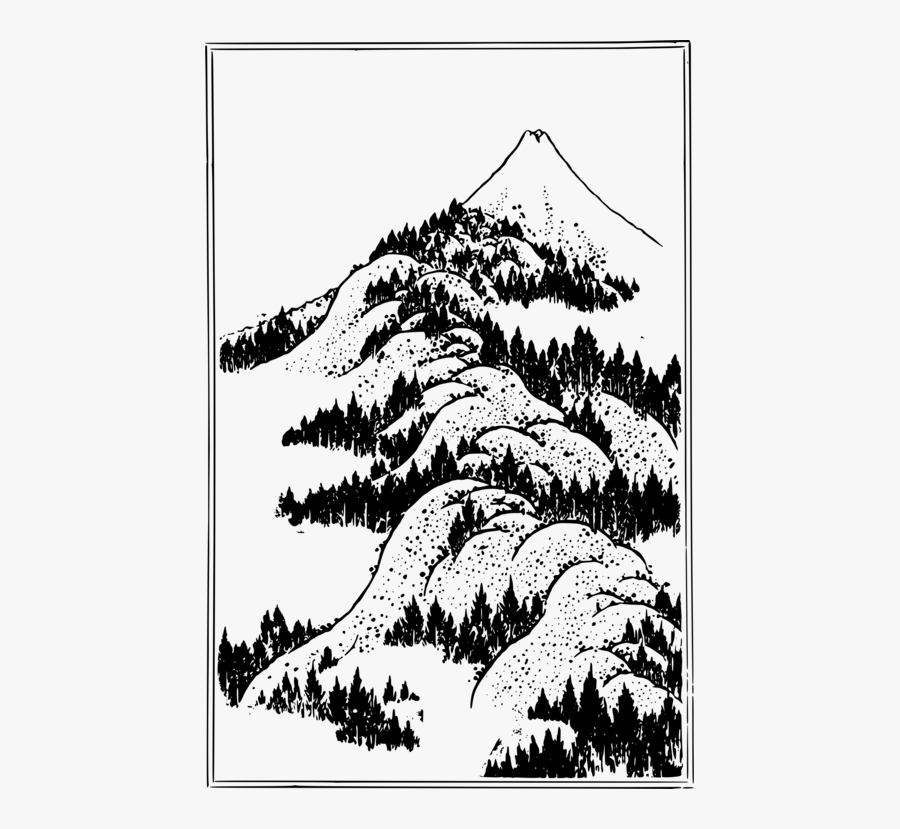 Pine Family,plant,flora - Mt Fuji Line Drawing, Transparent Clipart