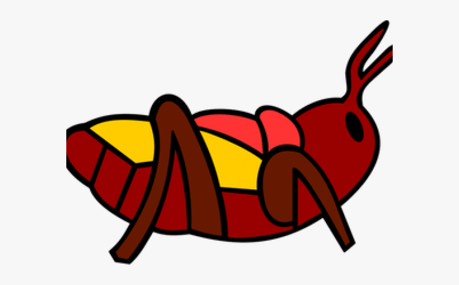 Beetles Clipart Colorful Bug - Chapulin Png, Transparent Clipart