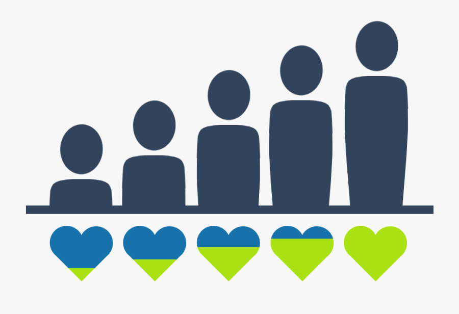 Membership Analytics Bear We - Illustration, Transparent Clipart