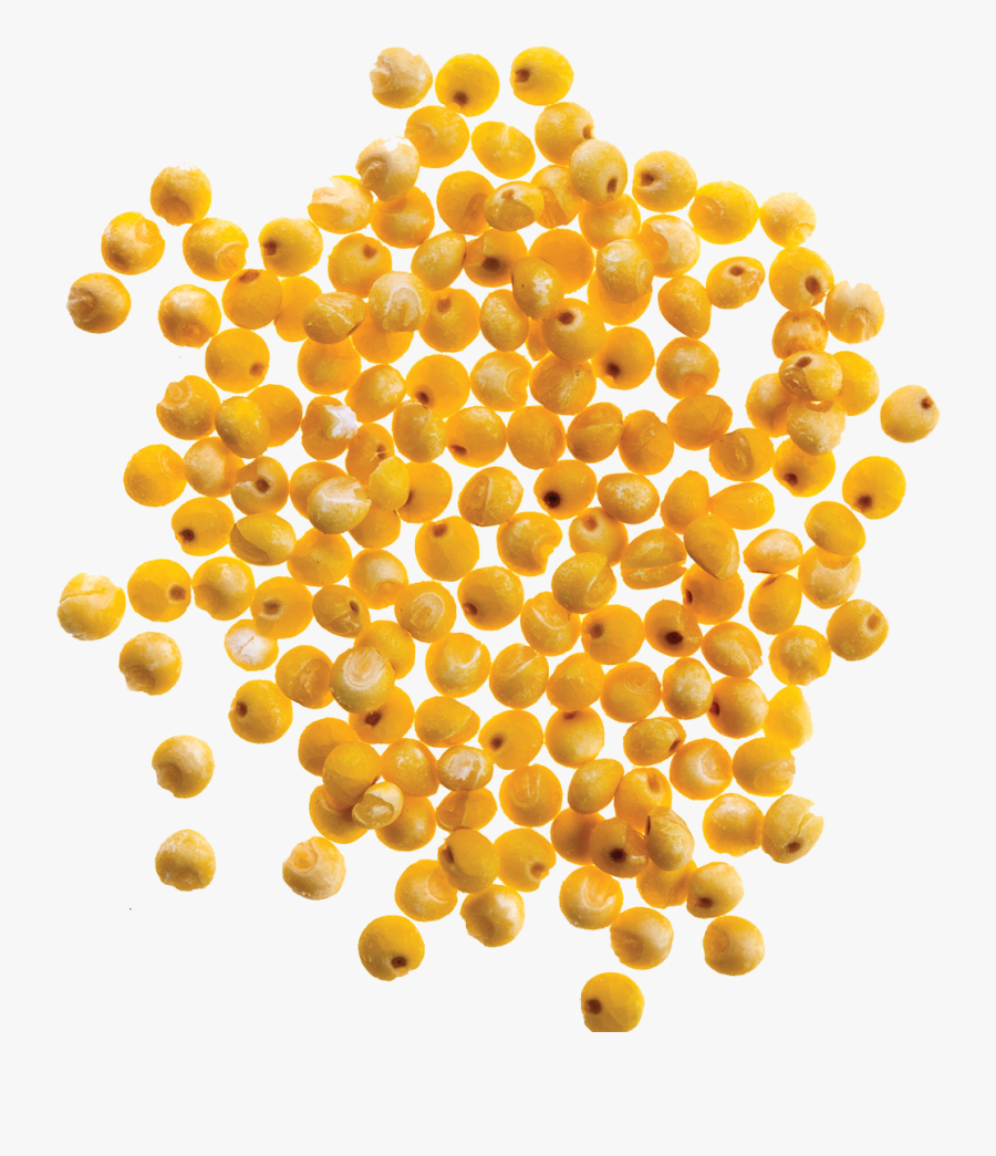 Transparent Pile Of Gold Png - Circle, Transparent Clipart