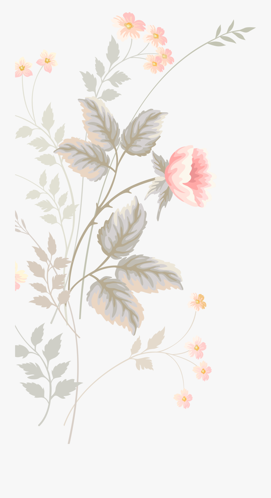 Pink Flower Pattern Watercolor Design Floral Flowers - Why Don't We, Transparent Clipart