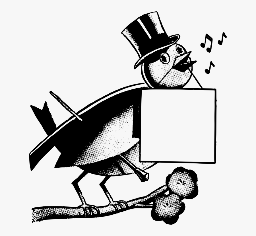 Cartoon,white Bird,bird - Cartoon, Transparent Clipart