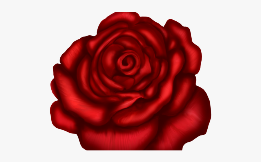 Red Rose Clipart Pro Life - Rose Transparent Art, Transparent Clipart