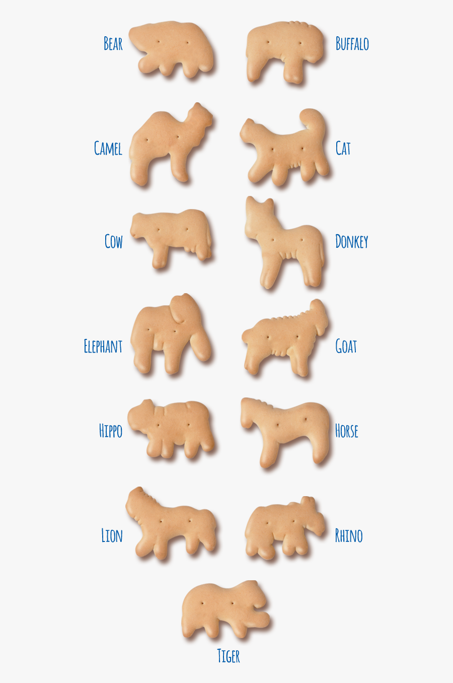 Stauffer"s Animal Cracker Identifier - Animal Cracker Transparent Background, Transparent Clipart