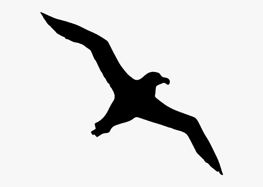 Bird Albatross Icon - Bird Transparent Background Png, Transparent Clipart