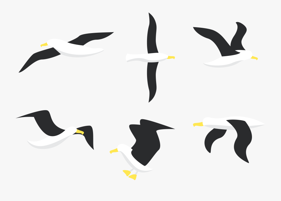 Albatross Drawing Flying Huge Freebie Download For - Seabird, Transparent Clipart