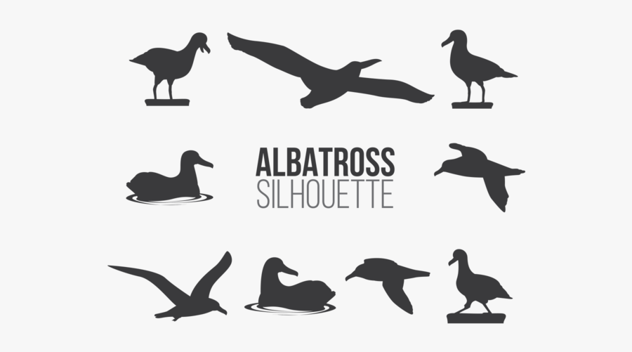 Albatros Icon, Transparent Clipart