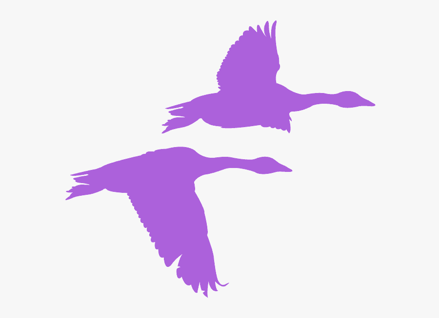 Red Silhouette Canada Goose , Free Transparent Clipart - ClipartKey