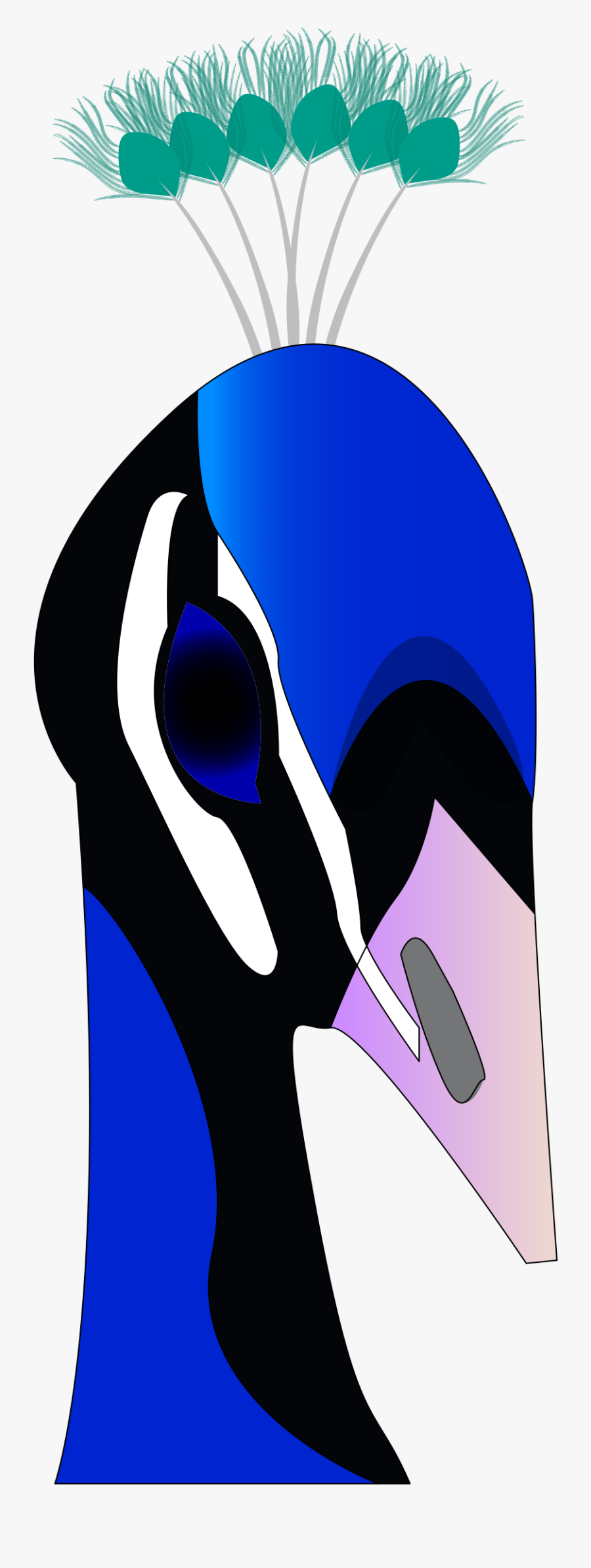 Peacock Frames Illustrations Hd - Peacock Head Png, Transparent Clipart