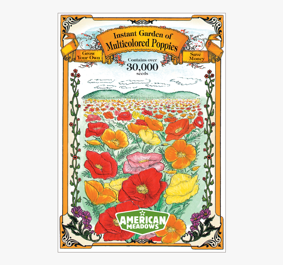 Oz Clipart Red Poppies - Hybrid Tea Rose, Transparent Clipart