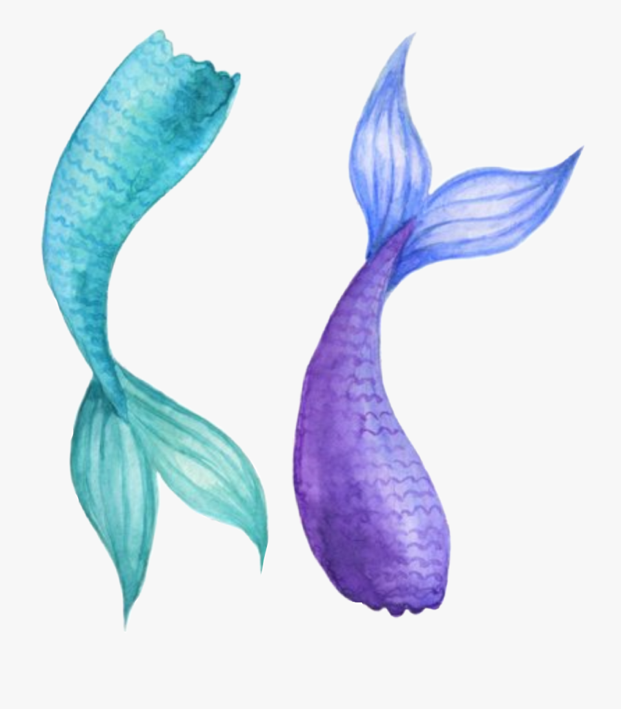 #watercolor #mermaidtail #mermaid #tail #teal #purple - Illustration, Transparent Clipart