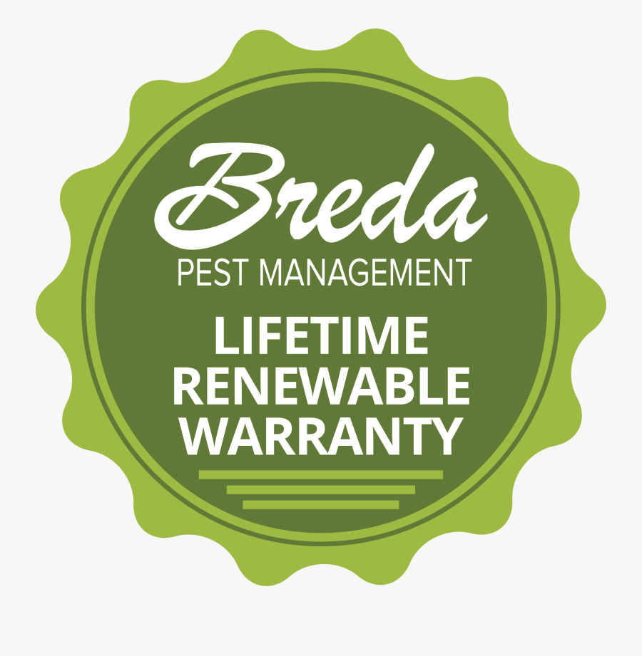 Transparent Warranty Png - Kia Cars, Transparent Clipart