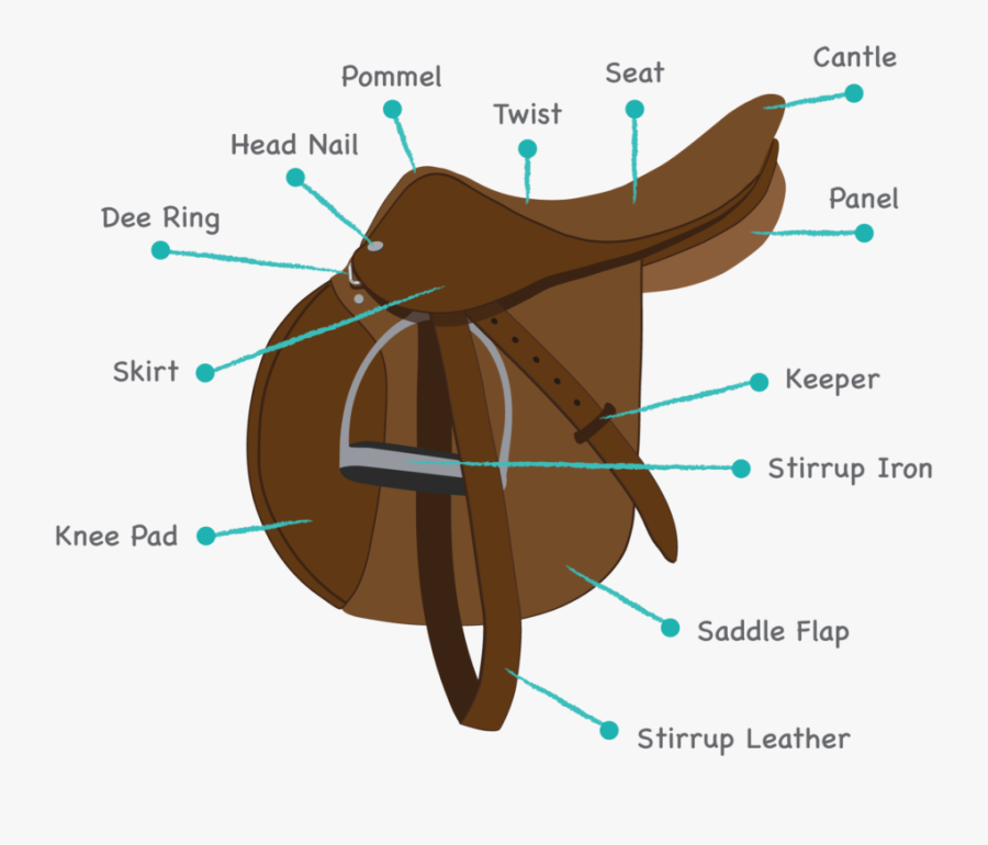 Clip Types Saddle - Saddle Parts, Transparent Clipart
