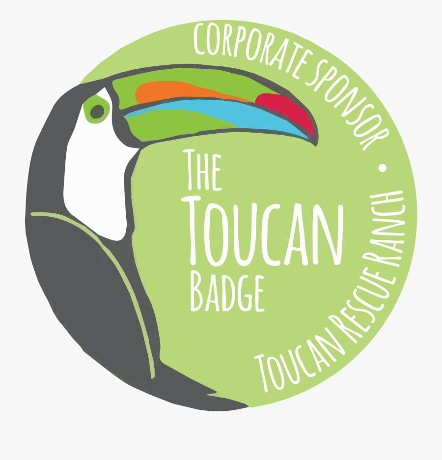 Toucan Clipart Animal Amazon Rainforest - Toucan Rescue Ranch, Transparent Clipart