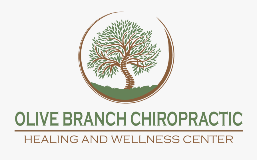 Olive Branch Chiropractic - White Pine, Transparent Clipart