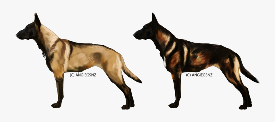 Clip Art Collection Of Free Puppy - Belgian Malinois Mahogany Sable, Transparent Clipart