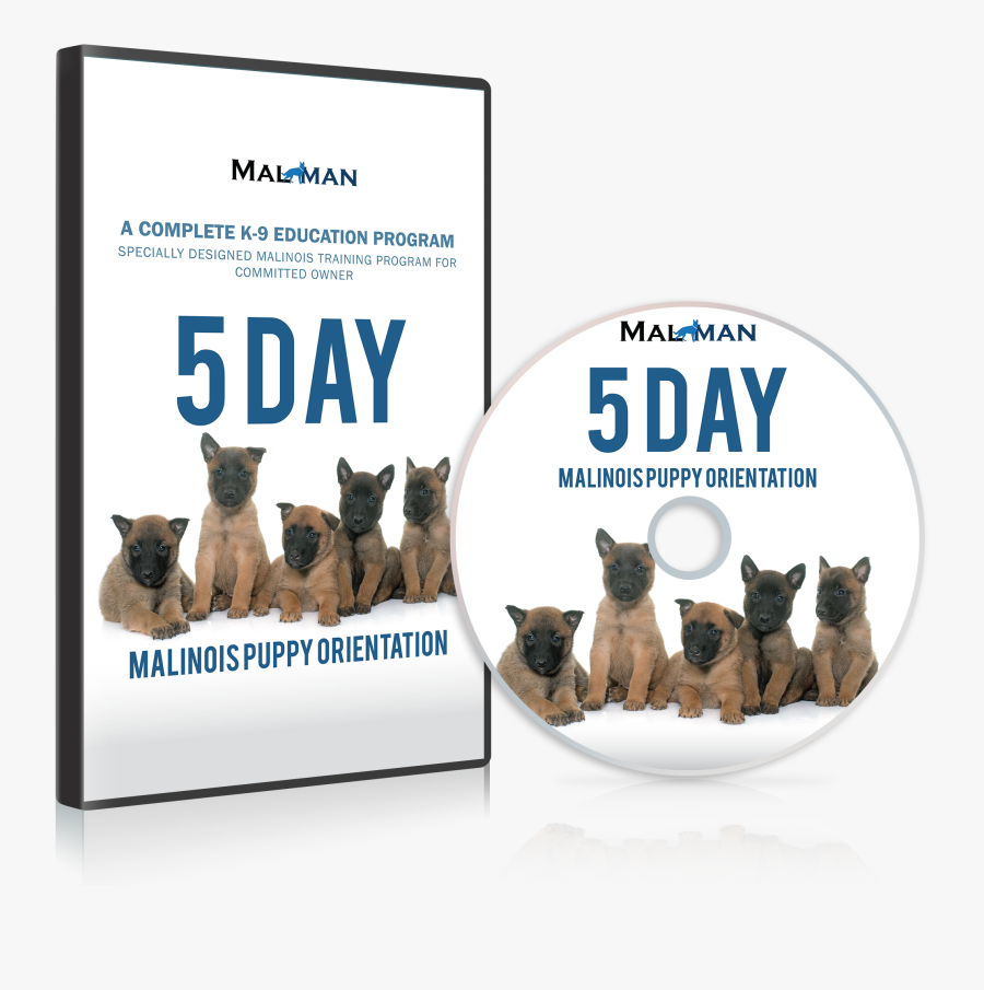 Sign Up Now, Transparent Clipart