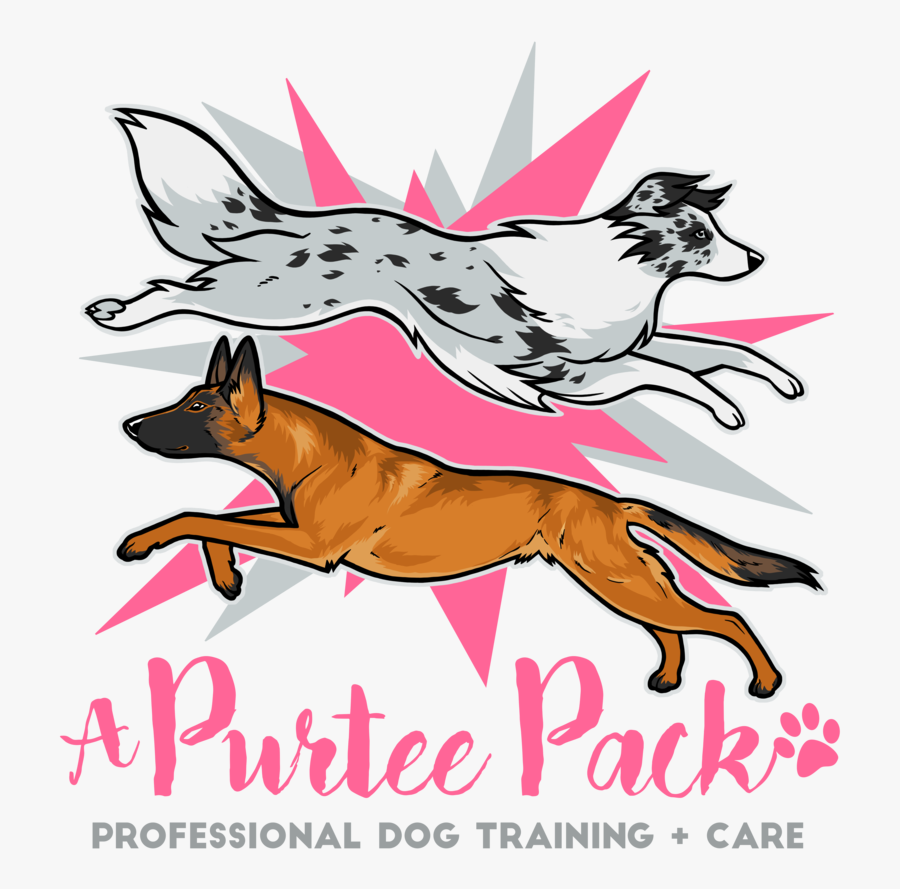 Purteepack-transparent1 - Illustration, Transparent Clipart