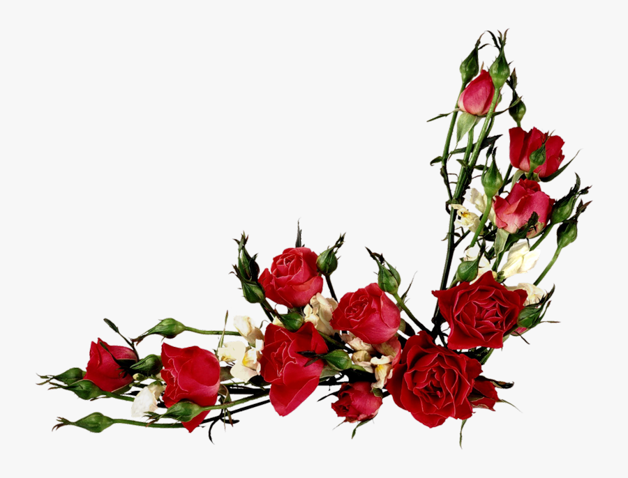 Vector Flowers, Flower Clipart, Vintage Roses, Vintage - Red Flowers Vector Png, Transparent Clipart