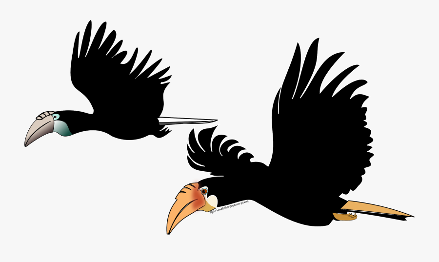 Birdwatching Tours August Camping - Rainforest, Transparent Clipart