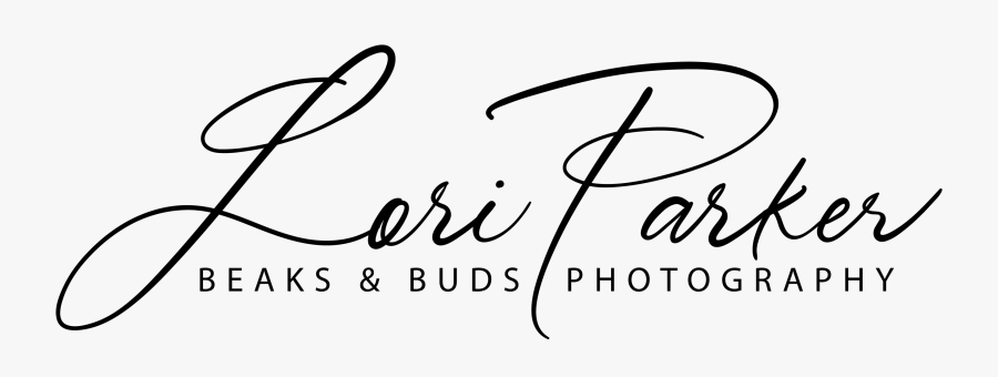 Calligraphy, Transparent Clipart