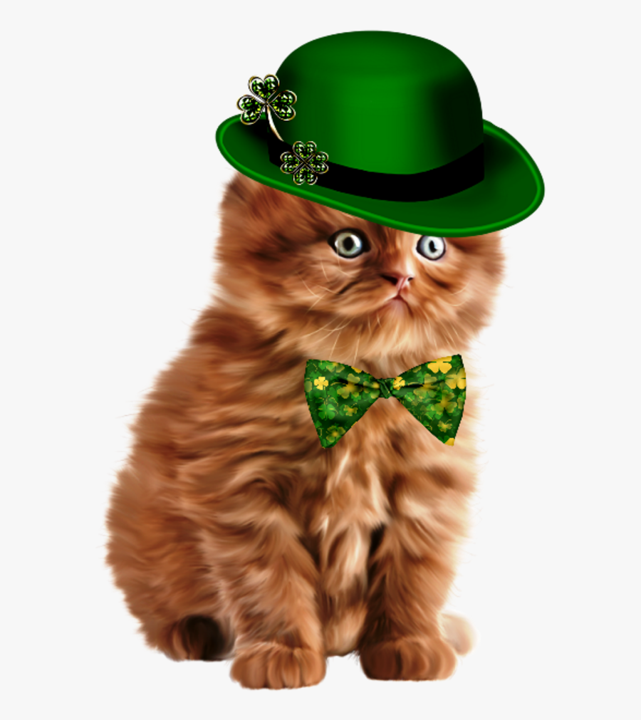 Kitten, Transparent Clipart