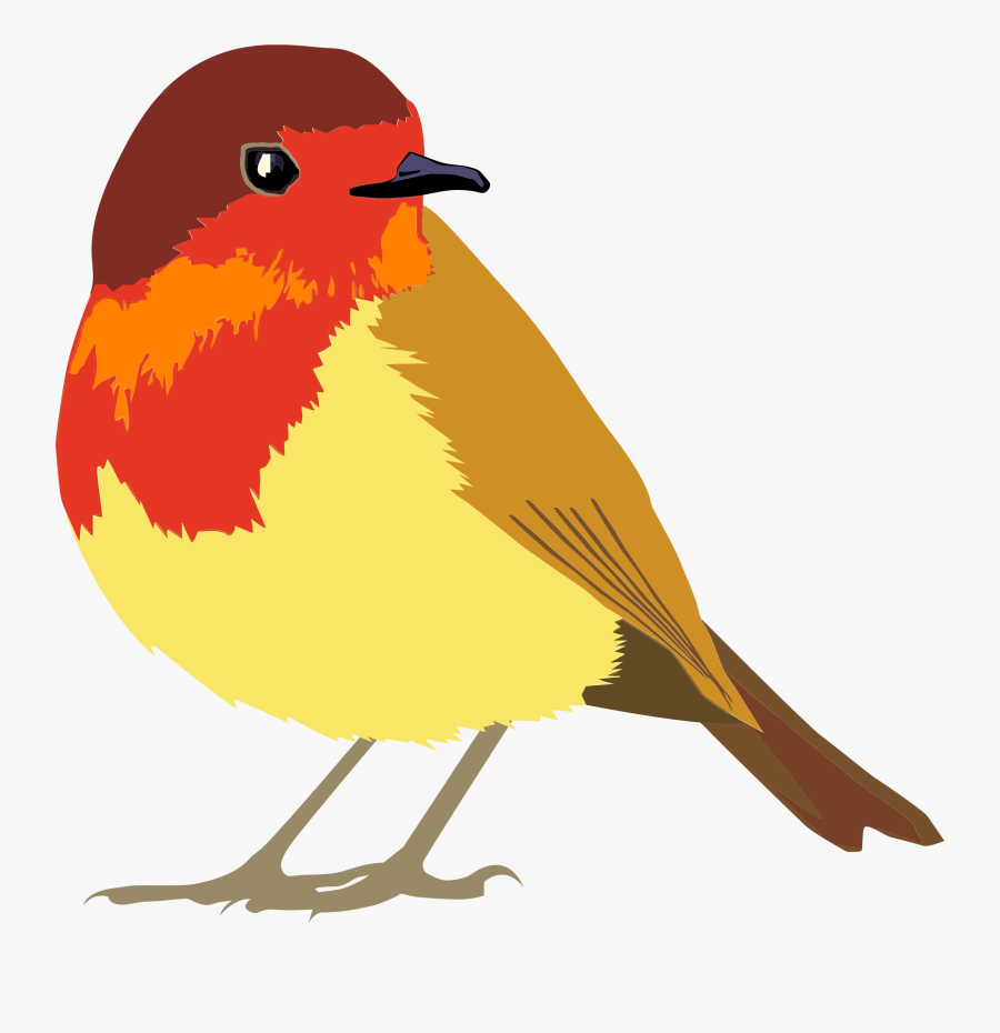 Vector Transparent Download Clipart Robin Bird - Robin Bird Clipart Png, Transparent Clipart