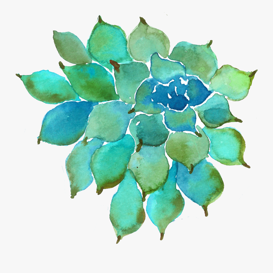 Succulent Plant Painting Petal - Succulent Plant, Transparent Clipart