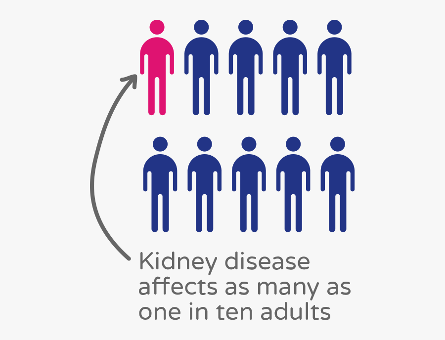 About Disease Kids Research - Total Wellbeing Diet, Transparent Clipart