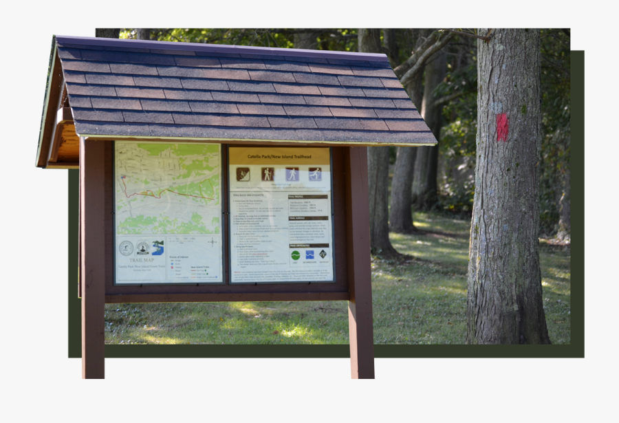 Wood Clipart Bike Trail - Wilber Park Oneonta Ny Trail, Transparent Clipart