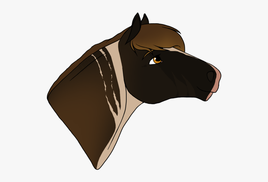 Horse, Transparent Clipart