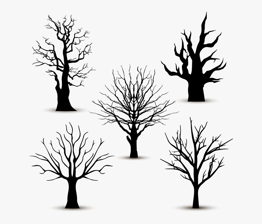Tatuaje Arbol Sin Hojas, Transparent Clipart