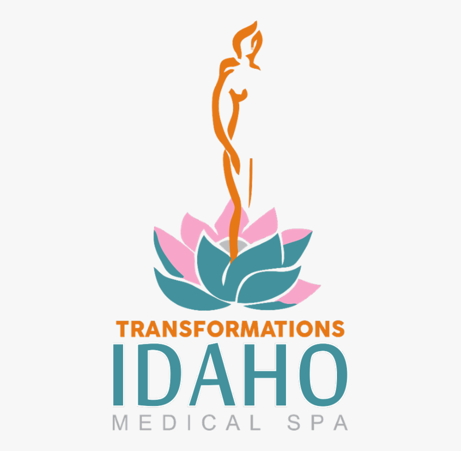 Cyprus International Short Film Festival, Transparent Clipart