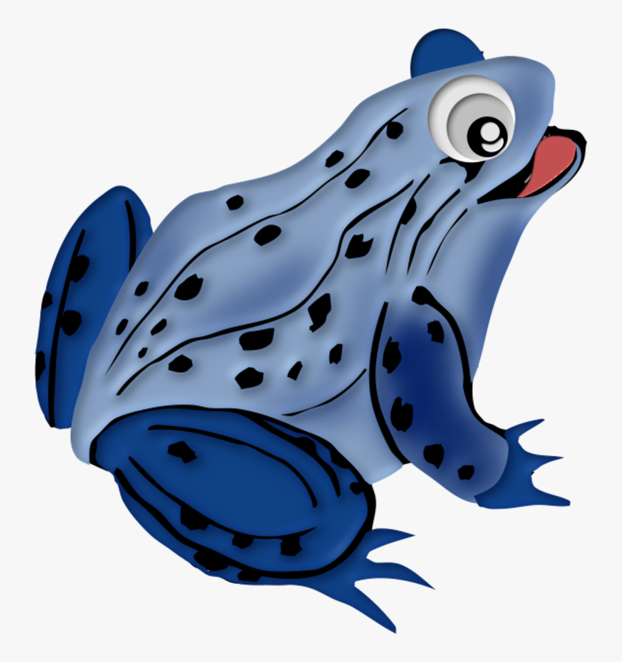 Frog, Transparent Clipart