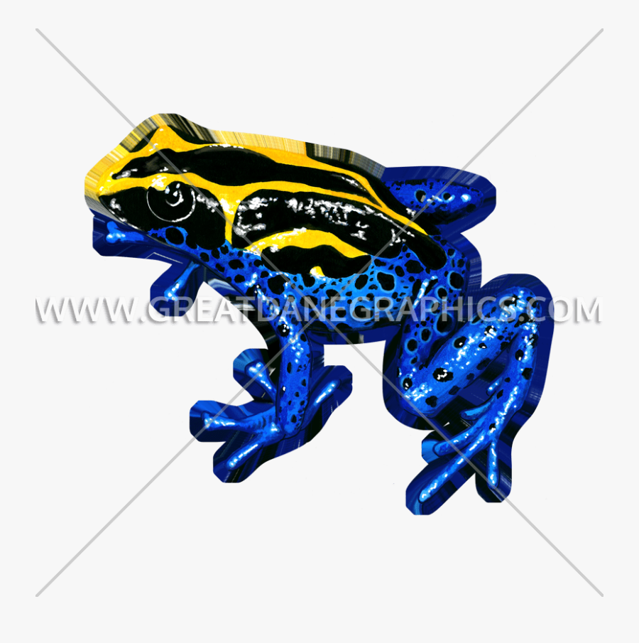 And Blue Frog Production - Poison Dart Frog Png, Transparent Clipart