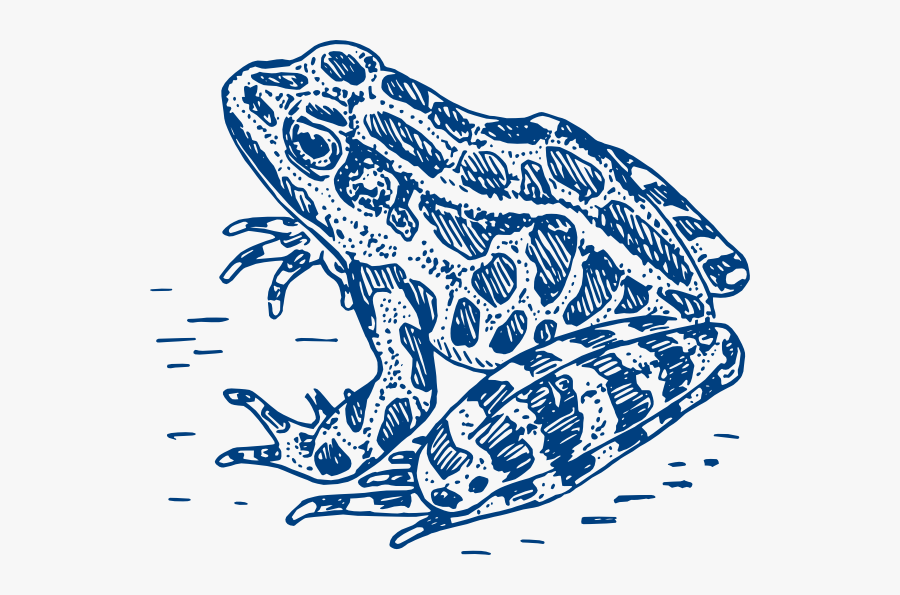 Frog Logo Svg Clip Arts - Frog Black And White, Transparent Clipart