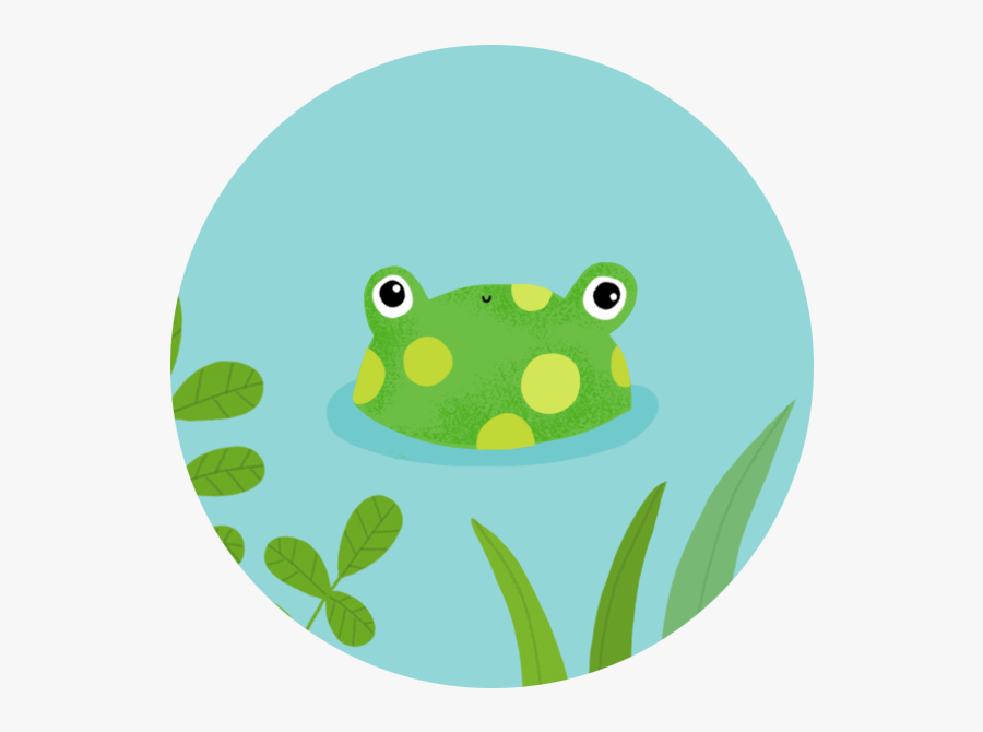 Tags Dragonfly Illustration, Duck Illustration, Frog - Bullfrog, Transparent Clipart